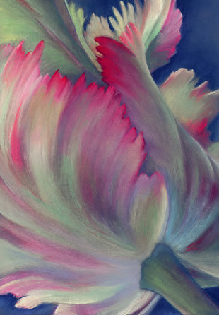 Malen und Zeichnen Lernen Malkurs Werk: Karin Kuthe Pastellmalerei von Karin Kuthe, in der eine Blume dargestellt wird.