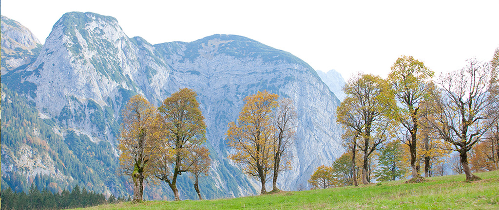 Nördliche Kalkalpen - Alpenwelt im Naturpark Karwendel