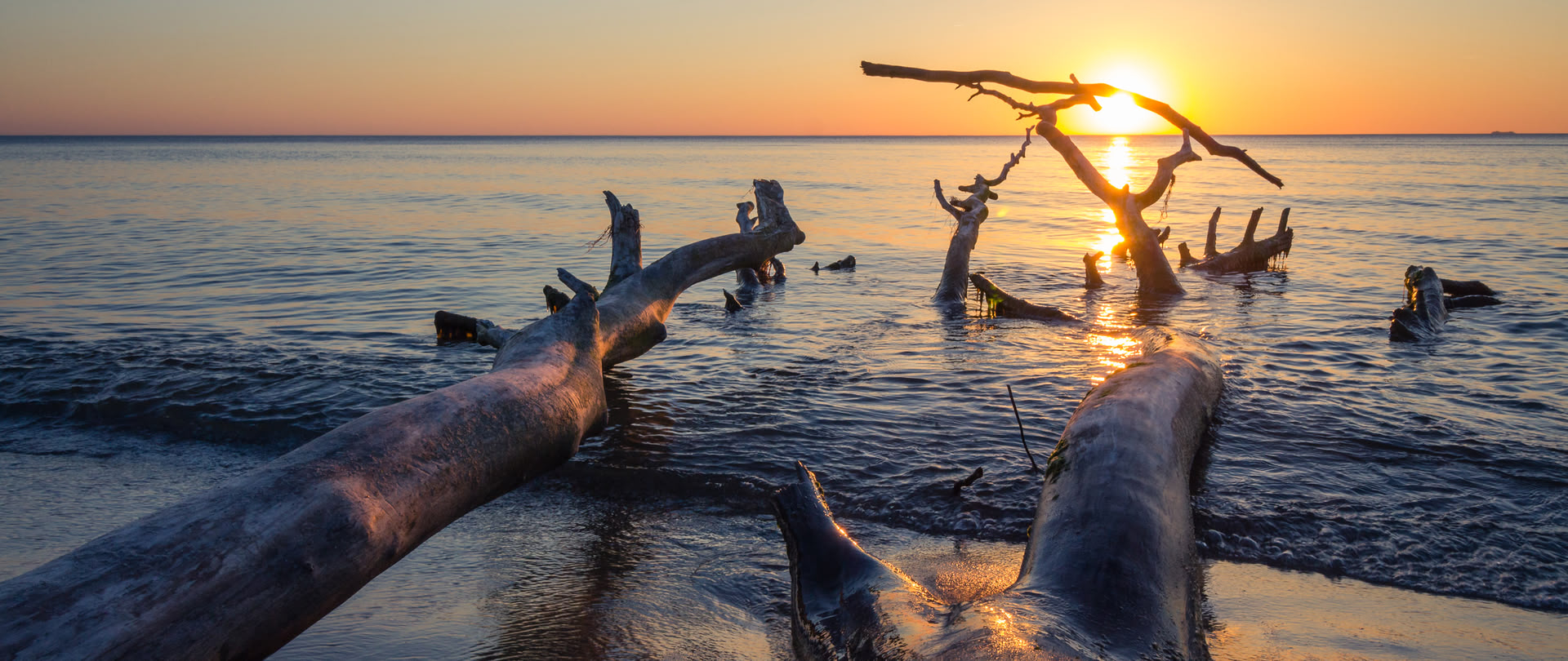 Baumstämme liegen am Strand und werden vom Wasser des Meeres umringt, bei Sonnenuntergang.