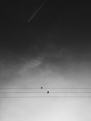 Basics der Bildgestaltung: Weniger ist mehr. Fotografieren lernen im Fotokurs. Foto: Adrian Kirkegaard/Unsplash. Eine Schwarzweiß-Fotografie, in der zwei Vögel auf einer Oberleitung sitzen.