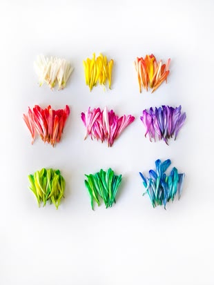 Die Bedeutung der Farben in der Fotografie. Fotografieren lernen. Foto: Jessica Lee/Unsplash. Auf einer weißen Oberfläche werden verschiedene Farben in Form von abgetrennten Blüten dargestellt.
