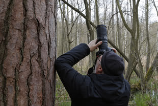 Das Kursfoto aus Usedom mit Michael Lohmann aus 2013, zeigt einen Mann, der in einem Wald steht und seine Kamera nach oben richtet.