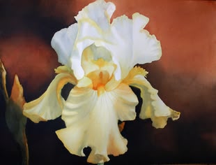 Portrait einer Blume, in Acryl gemalt von Anke Gruss.