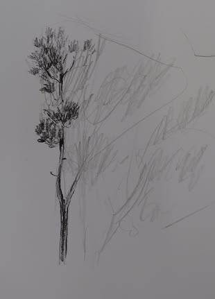 Malen und Zeichnen Lernen mit Claus Rabba Malkurs Zeichenkurs Malreise Kreativurlaub - Werk: Claus Rabba Ein skizzierter Baum von Claus Rabba.