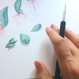 by Kristin Tessen Ein Aquarellbild zum Thema "Botanical Art"
