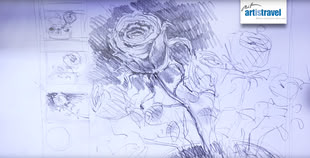 Rose zeichnen lernen - Werk: Sebastian Gothe In einer Skizze von Sebastian Gothe werden mehrere Rosen dargestellt.