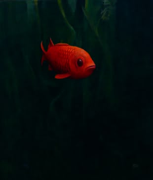 Öl malen lernen Malkurs Werk: Bernd Finkenwirth Das mit Ölfarbe gemalte Bild von Bernd Finkenwirth stellt einen Fisch vor einem dunklen Hintergrund dar.