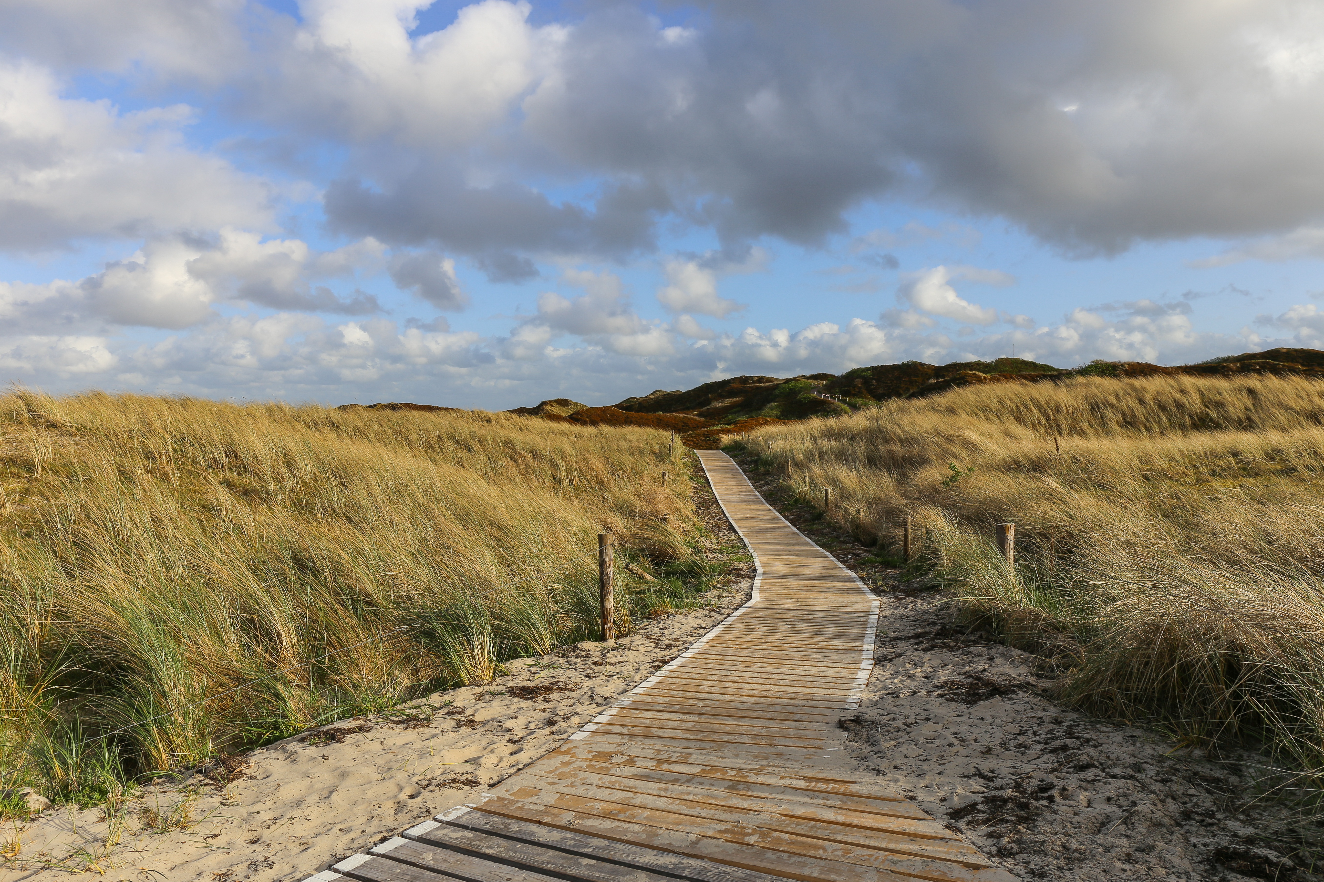Natürlicher Strandweg durch Dünenlandschaft mit Fernblick auf Hügellandschaft und Himmel Strandweg zwischen hohen Dünengräsern mit Blick auf Hügel und Himmel im Hintergrund